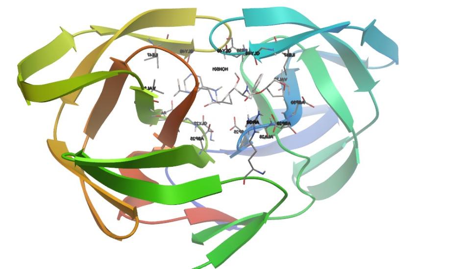环丙基拟肽分子模型